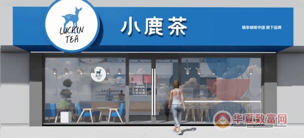 小鹿茶加盟